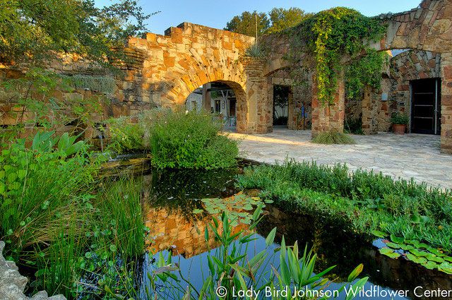 Exemplary Lady Bird Johnson Wildflower Center Tex Painting   Lady Bird Johnson Wildflower Center Reflection 